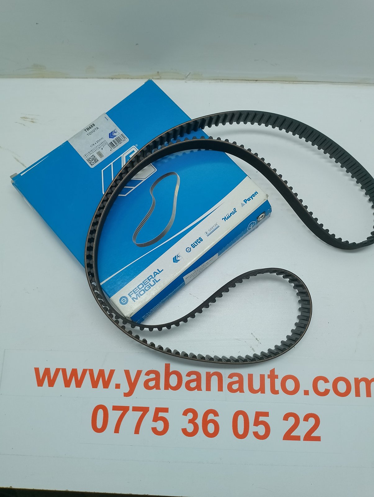 حزام التوقيت